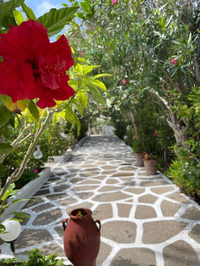 Seaside Studios Arkasa Karpathos Buitenkant foto